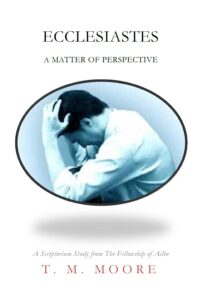 Ecclesiastes: A Matter of Perspective (PDF)